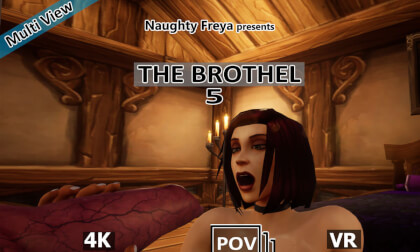 The Brothel 5 - Multi View